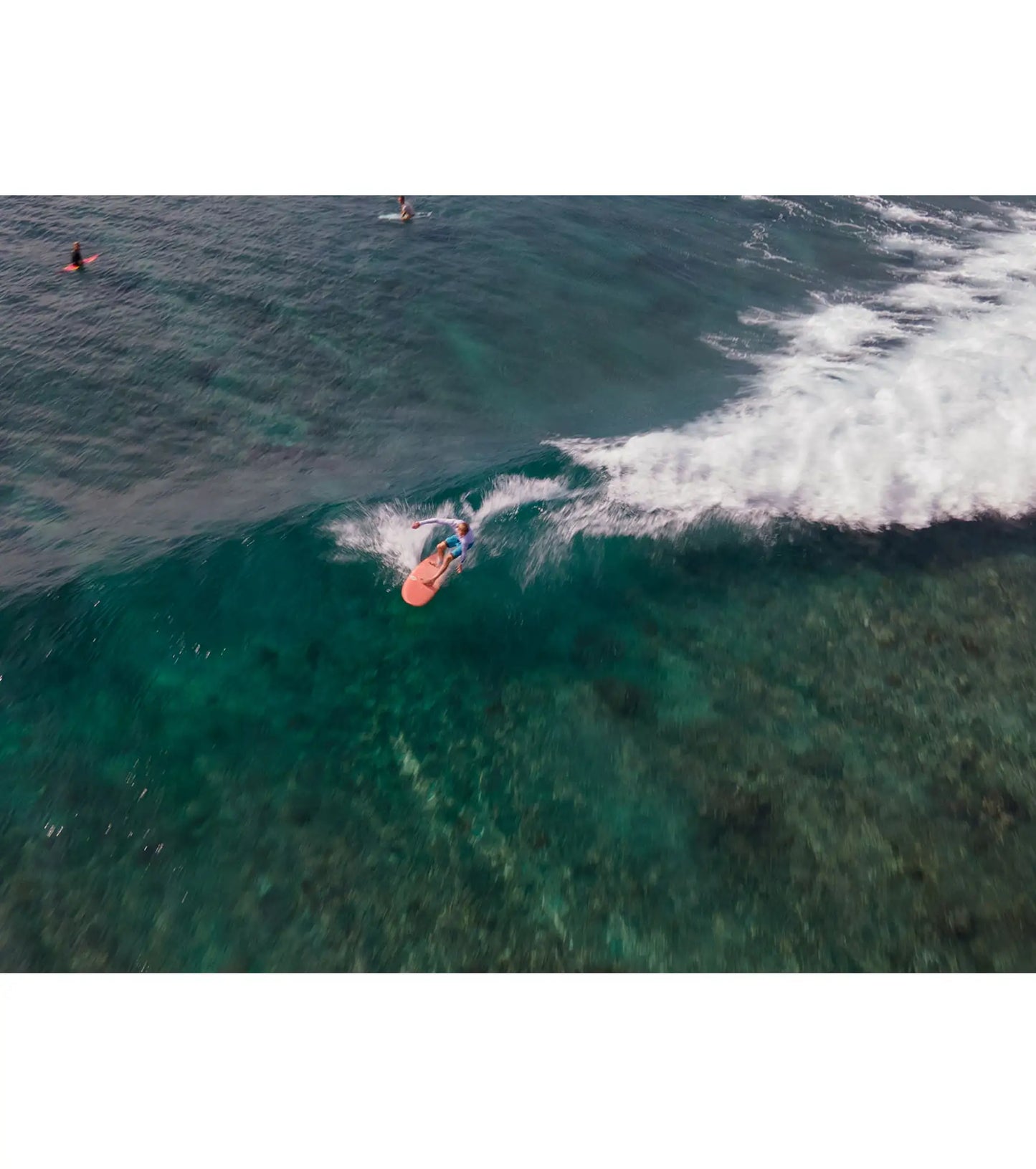 Torq Mod Fish TET - Futures - 5 Fin - Short Boards