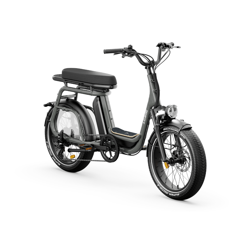 Ritmic DUO 2-Seat Cargo - E-Bikes