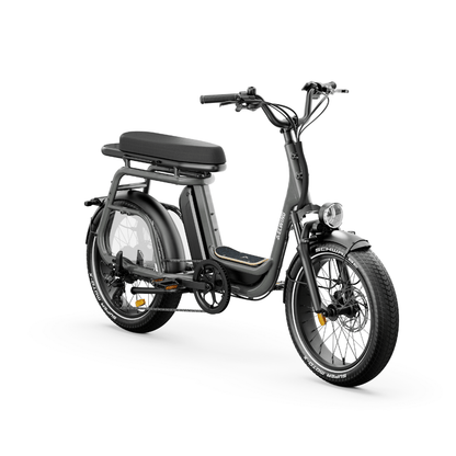 Ritmic DUO 2-Seat Cargo - E-Bikes