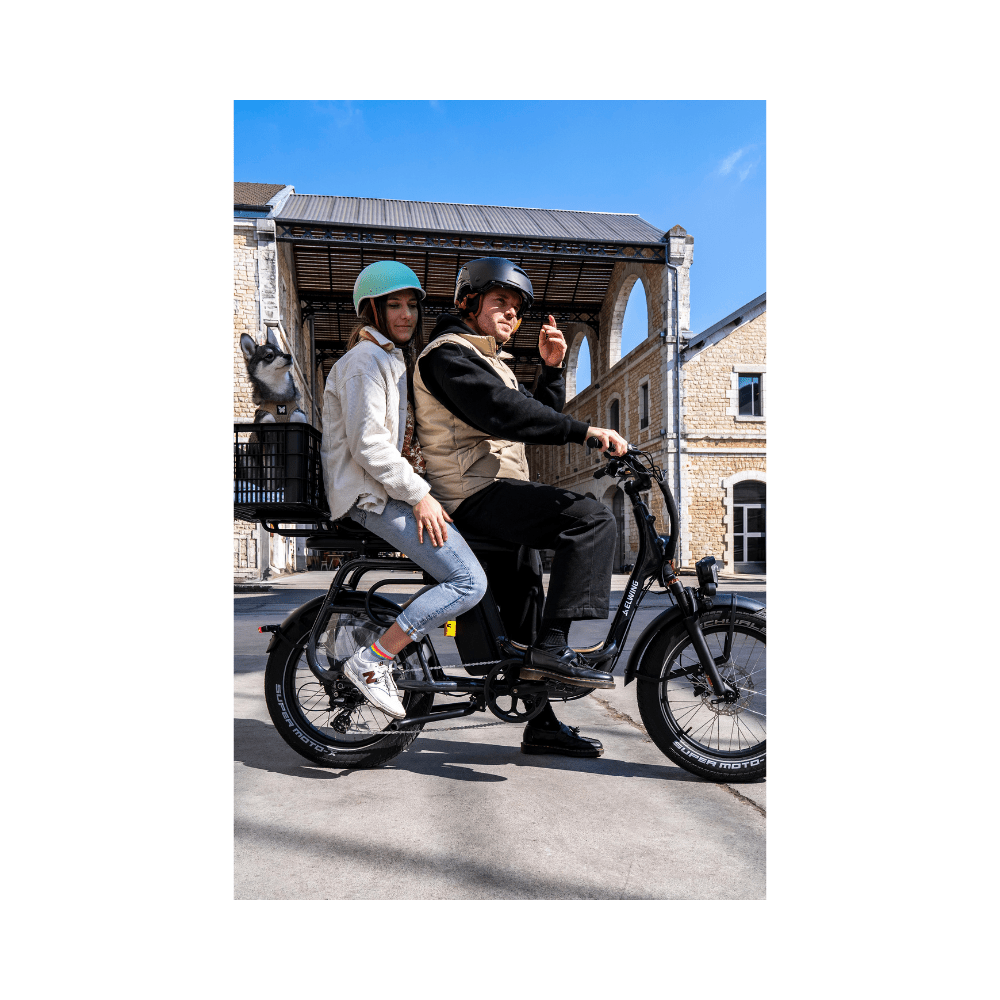 Ritmic DUO 2-Seat Cargo - E-Bikes